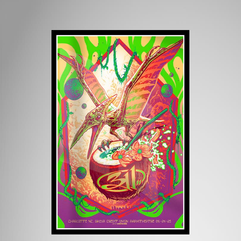 311 Charlote NC June 24 2025 Poster