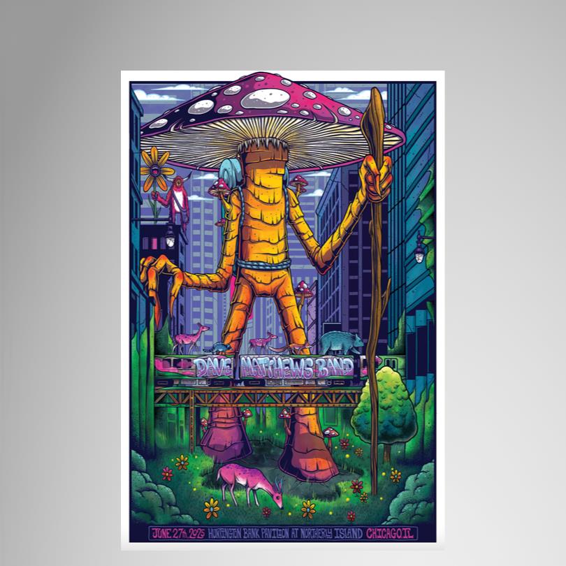 Dave Matthews Band Live Print