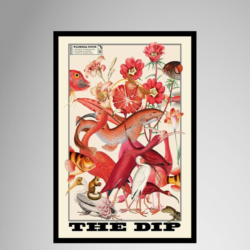 Florida Tour 2025 The Dip New Poster