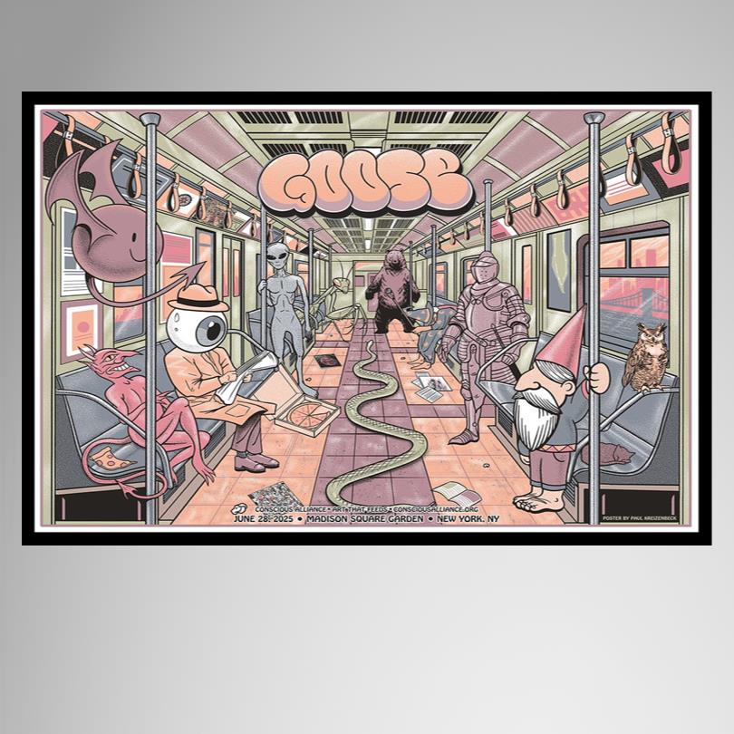 Goose Live in New York NY Print