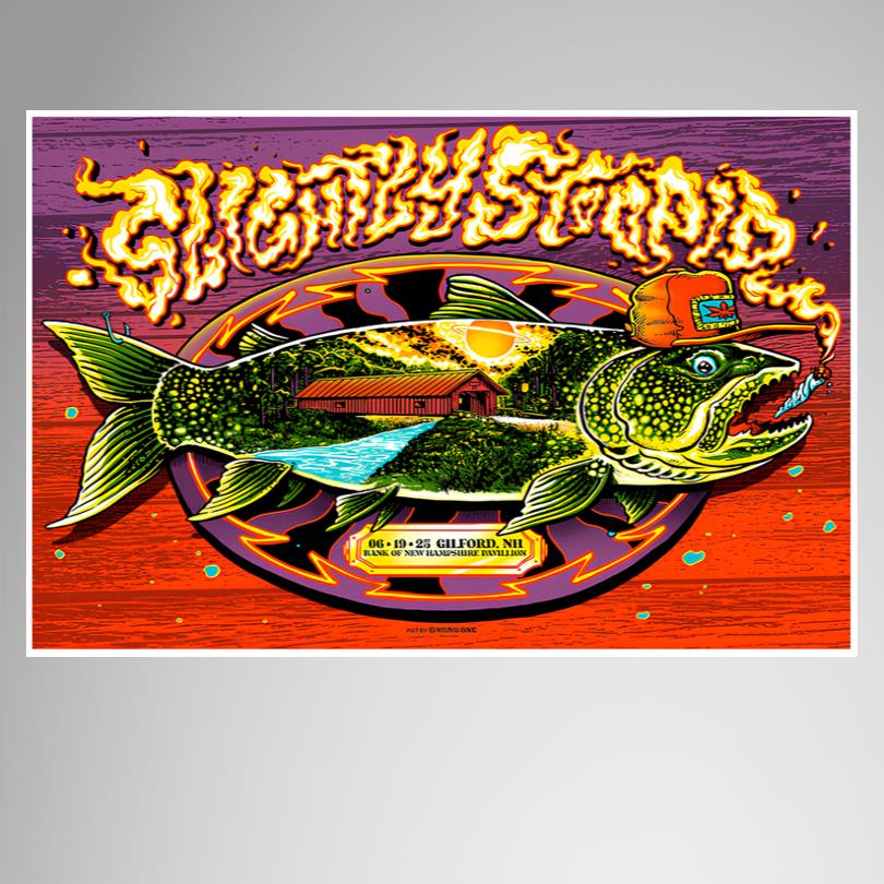 Slight Stoopid Tour 2025 Gilford NH Poster