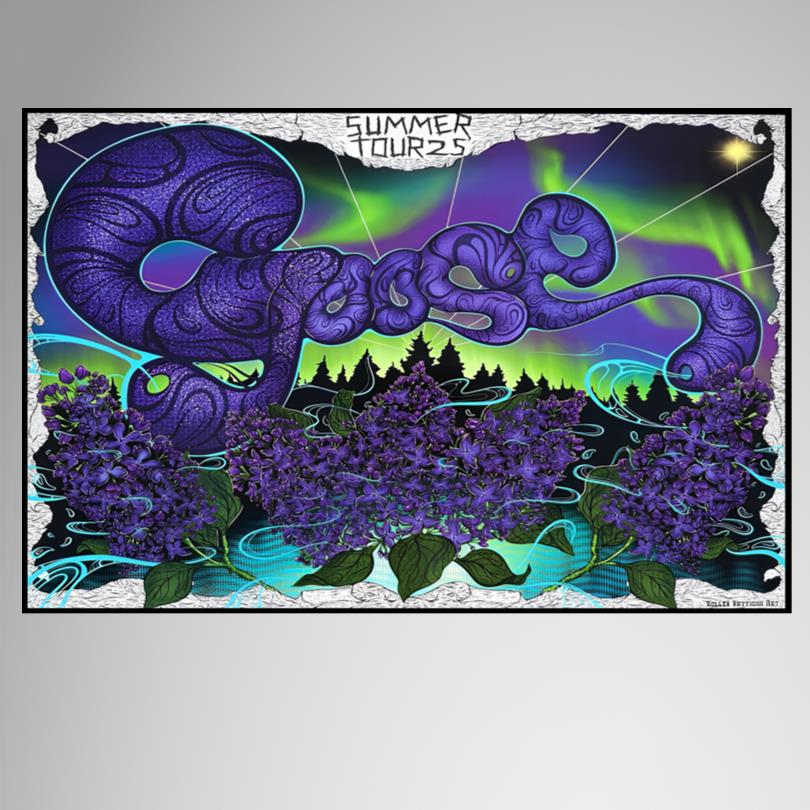 Goose Summer Tour Poster