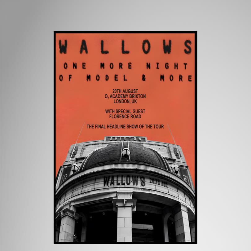 Wallows European Tour Poster